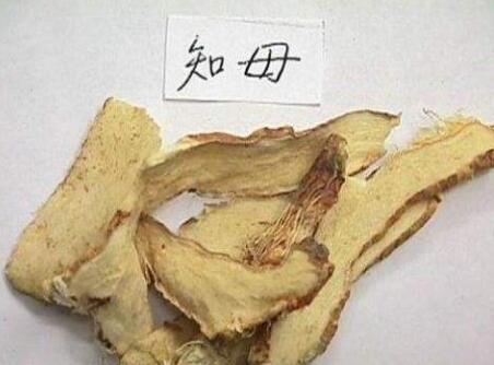 知母有什么功效